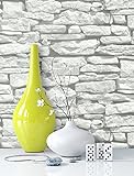 Steintapete in Weiß | schöne edle Tapete im Steinmauer Design | moderne 3D Optik für Wohnzimmer, Schlafzimmer oder Küche inklusive der Newroom-Tapezier-Profi-Broschüre, mit Tipps für perfekte Wände